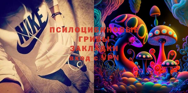 трава Балахна