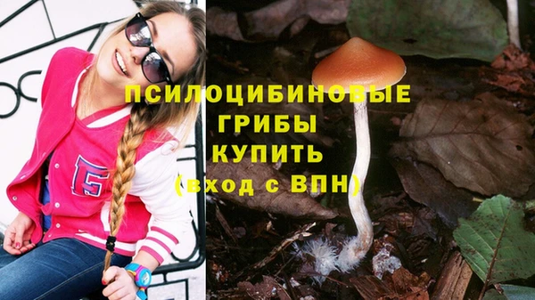 а пвп мука Баксан