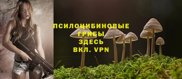 а пвп мука Баксан