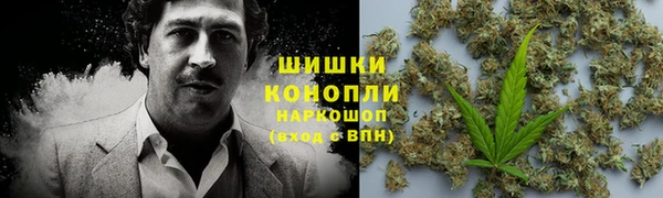 трава Балахна