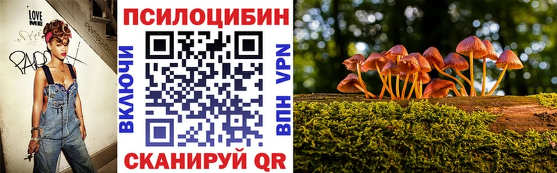 даркнет клад  Светлогорск  Галлюциногенные грибы Psilocybe  ОМГ ОМГ сайт 
